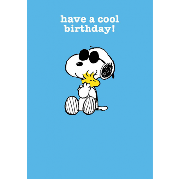 Have A Cool Birthday!