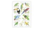 Tropical Birds - postkort med tropiske fugle