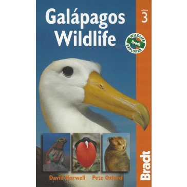 Galápagos Wildlife