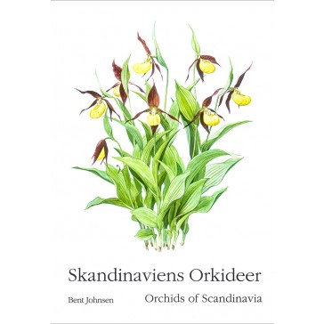 Skandinaviens orkideer