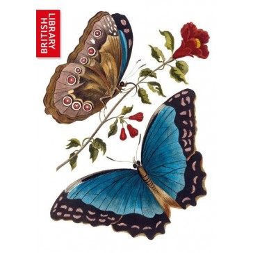 Postkort med azurblå sommerfugle