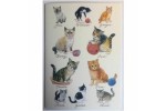 Kittens - postkort med killinger