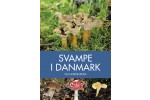 Svampe i Danmark og Nordeuropa