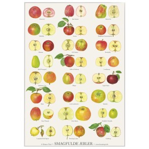 Smagfulde æbler - plakat