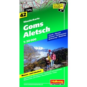 Goms, Aletsch