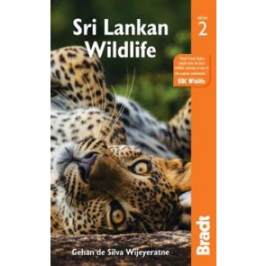 Sri Lankan Wildlife