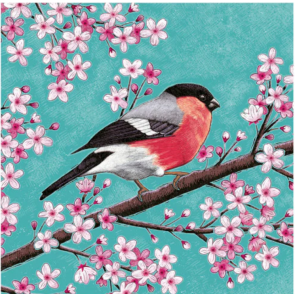 Postkort med fugl på gren - Bullfinch and Blossom