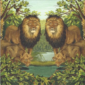 Lion pair at the watering hole