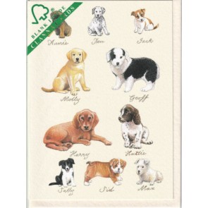 Puppies - postkort med hundehvalpe