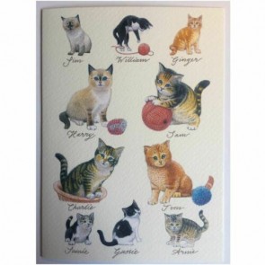 Kittens - postkort med killinger