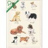 Puppies - postkort med hundehvalpe
